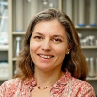 Profile photo of Rachel Wevrick, expert at University of Alberta