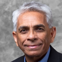 Profile photo of Salim Mansur, expert at Western University