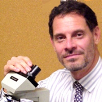 Profile photo of Samuel Hammer, expert at Boston University
