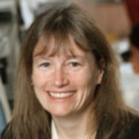 Profile photo of Sandra T. Davidge, expert at University of Alberta