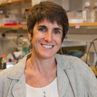 Profile photo of Sandra Hewett, expert at Syracuse University