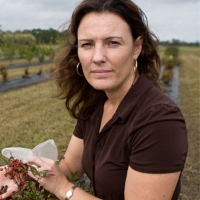 Profile photo of Sandra Wilson, expert at University of Florida