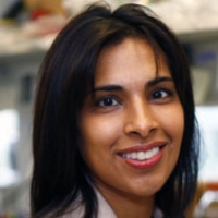 Profile photo of Sangeeta Bhatia, expert at Massachusetts Institute of Technology