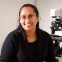 Profile photo of Shermali Gunawardena, expert at State University of New York at Buffalo