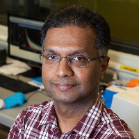 Profile photo of Siva Sivoththaman, expert at University of Waterloo