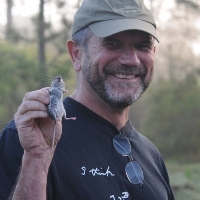 Profile photo of Stephen Pruett-Jones, expert at University of Chicago