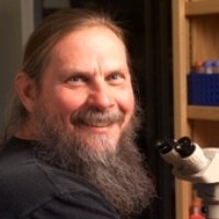 Profile photo of Steven Edward Ealick, expert at Cornell University