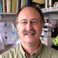 Profile photo of Trefford Simpson, expert at University of Waterloo