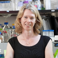 Profile photo of Victoria Prince, expert at University of Chicago