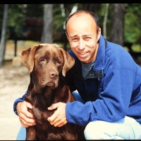 Profile photo of Vincent St Louis, expert at University of Alberta