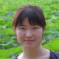 Profile photo of Wei Wei, expert at University of Chicago