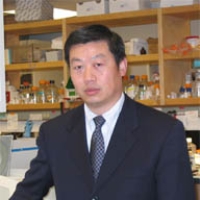 Profile photo of Weihong Song, expert at University of British Columbia