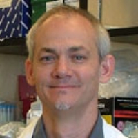 Profile photo of William Stanford, expert at University of Ottawa