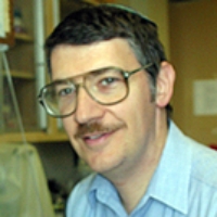 Profile photo of William Stohl, expert at University of Southern California