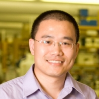 Profile photo of Yibin Kang, expert at Princeton University