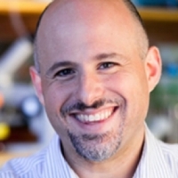 Profile photo of Zemer Gitai, expert at Princeton University